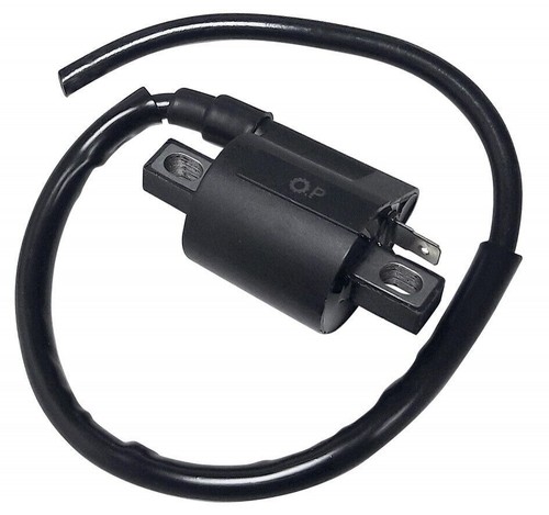 Bobina per aprilia amico - c4,