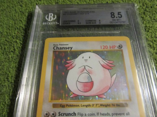 Bgs shadowless base - bgs, 8.5