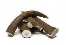 Corno di Cervo Per Cani Osso