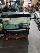 acquario di acqua dolce da