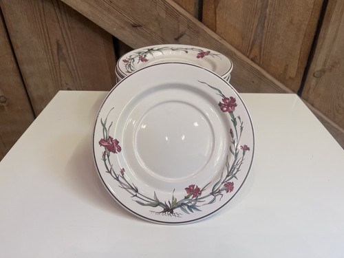 Piatti botanica villeroy - piatti,