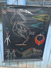 Manifesto Antica Scuola &