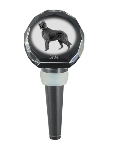 English setter inglese - setter,,