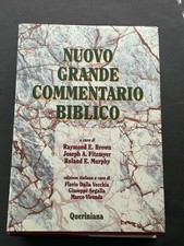 Nuovo grande commentario
