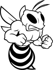 adesivo decal sticker APE