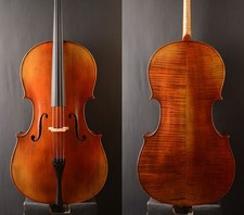 Miglior Modello Olio Antico