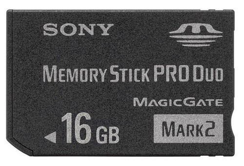 Scheda memory stick gb - scheda,