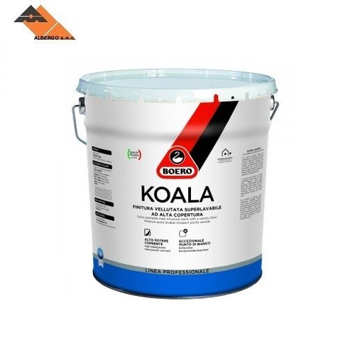 Koala boero bianco - 14, l