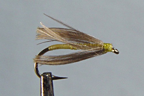 Lotto mouche de - x,