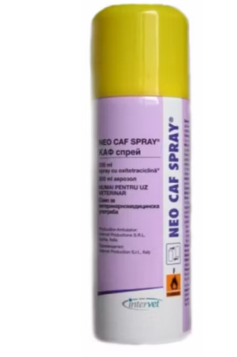 Caf spray zoppia - zoppia, blu