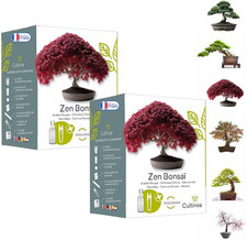 Set Di 2 Kit Pronti per La