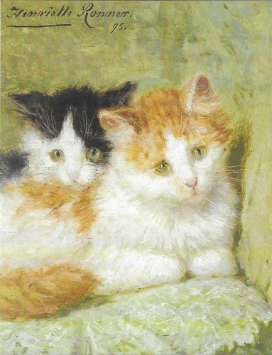 Nuova cartolina gatti - cartolina, gattini