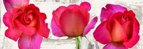Quadro fiori rose rosse stampa - fiori,