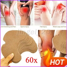 60 pezzi assenzio moxa