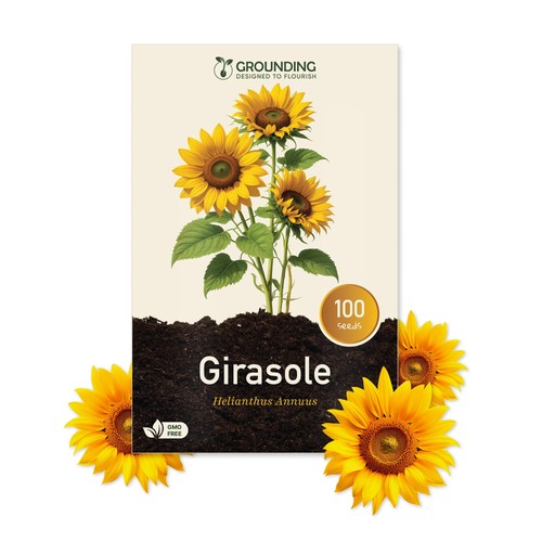 Grounding semi di girasole - -,