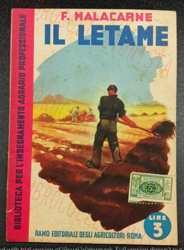 Letame malacarne - il,