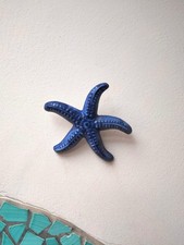 Stella marina originale - stella,