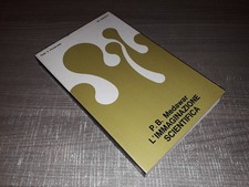 L'IMMAGINAZIONE SCIENTIFICA