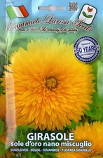 25 Semi / Seeds GIRASOLE Sole