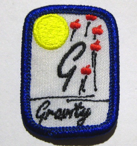 Girl scout senior connecting - senior,
