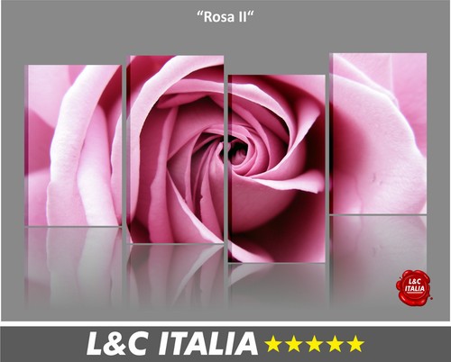 Rosa quadri moderni - rosa,