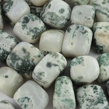 Agata Dendritica Arborizzata