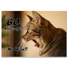 c261; Biglietto Compleanno