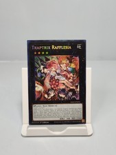 Traptrix Rafflesia RA02-EN034