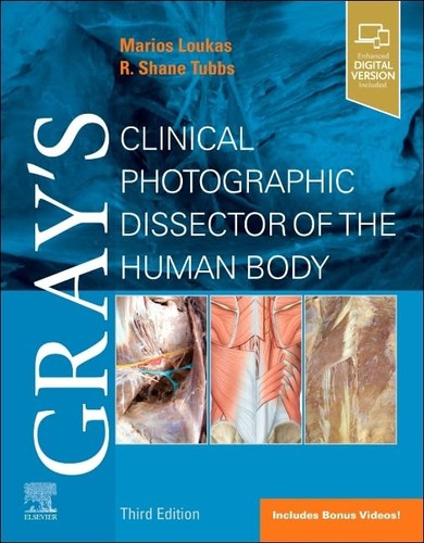 Gray clinical photographic - gray's,