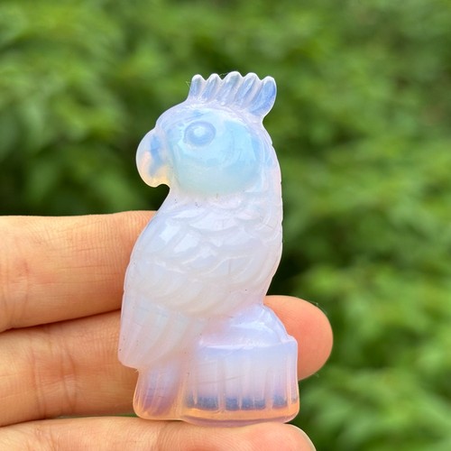 Teschio pappagallo opalite