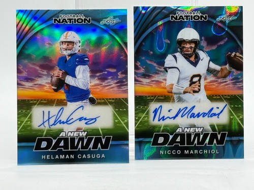 2025 leaf blue holo helaman - 2025,