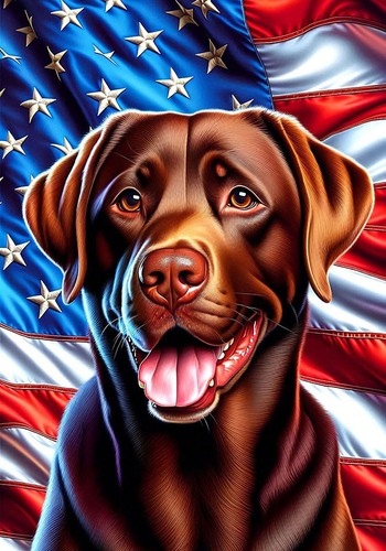 Bandiera labrador retriever - labrador,