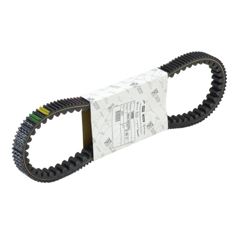 Cinghia trasmissione variatore - trasmissione,