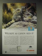 Pubblicità fotocopiatrice