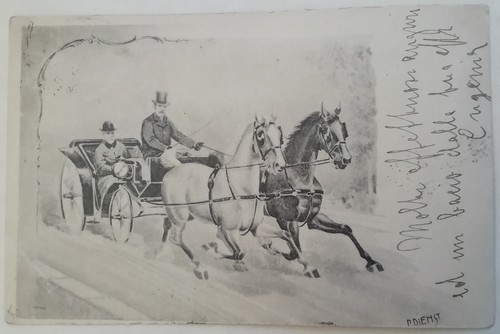 Cartolina cavallo corsa - cavallo,