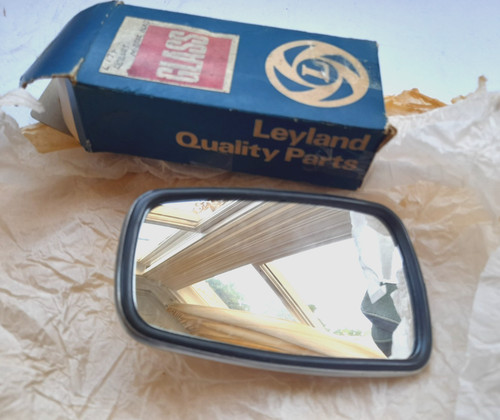Rover winguard porta - p6,