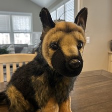 Hansa Pastore Tedesco Cucciolo