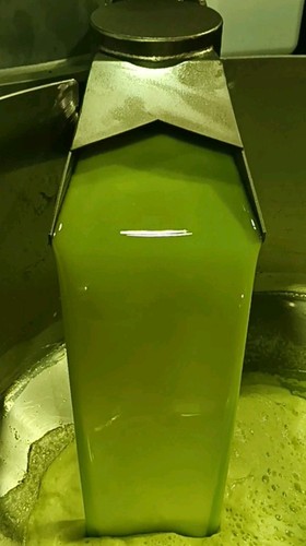 Litri olio extravergine - 10,