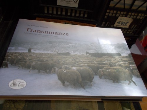 Transumanze fotografico sulle - transumanze,
