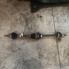 51947833 Semialbero ant