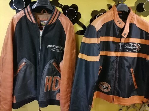 Harley davidson coppia - harley,