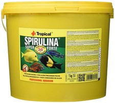 Spirulina Tropicale Super