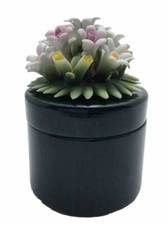 Scatola in Legno con coperchio