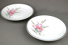 Coppia Piattini t. Limoges Decore a Main con Decorazioni Floreali in Porcellana