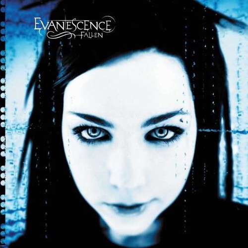 Evanescence fallen vinile - evanescence,