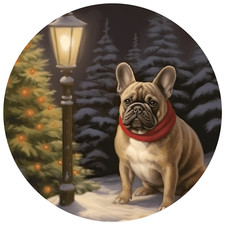 2 adesivi auto Bulldog