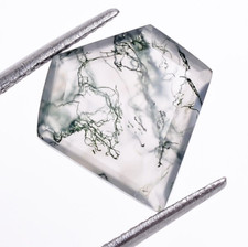 Aquilone calibrato taglio