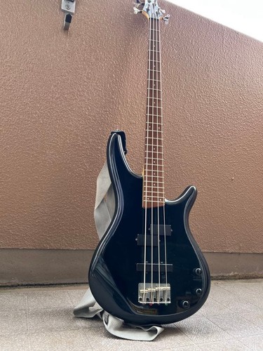 Basso elettrico ibanez - elettrico,