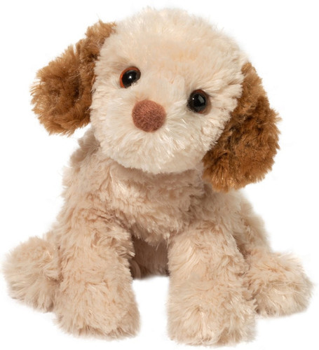 Biscotto cavapoo douglas - 8",