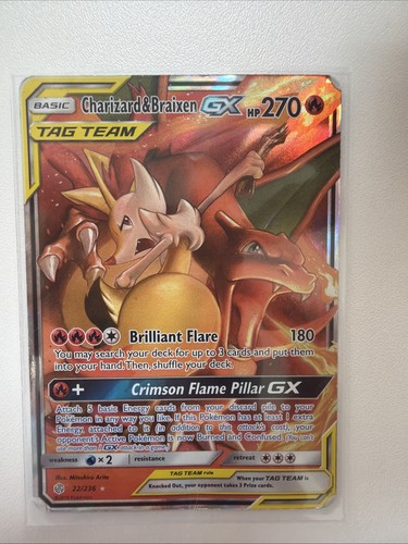 Charizard braixen 22 236 - charizard, &